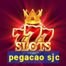 pegacao sjc